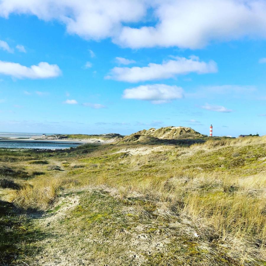 Paddle - Vue Mer - 100M Plage Berck Exteriér fotografie
