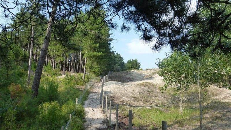 Paddle - Vue Mer - 100M Plage Berck Exteriér fotografie